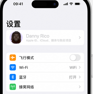 海阳appleID维修服务iPhone设置中Apple ID显示为灰色无法使用 