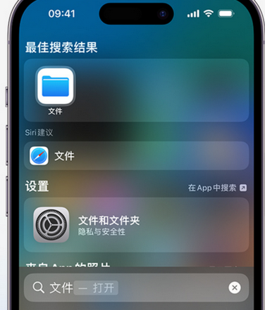 海阳apple维修中心分享iPhone文件应用中存储和找到下载文件 