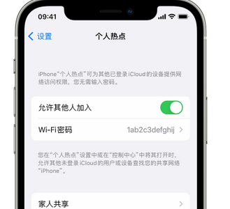 海阳apple服务站点分享iPhone上个人热点丢失了怎么办 