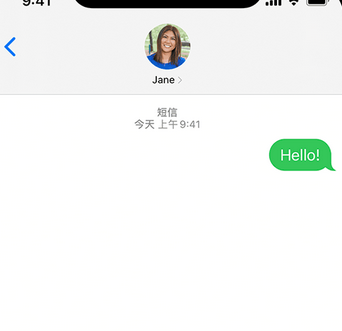 海阳apple维修iPhone上无法正常发送iMessage信息