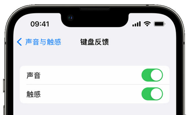 海阳苹果手机维修分享iPhone 14触感键盘使用方法 