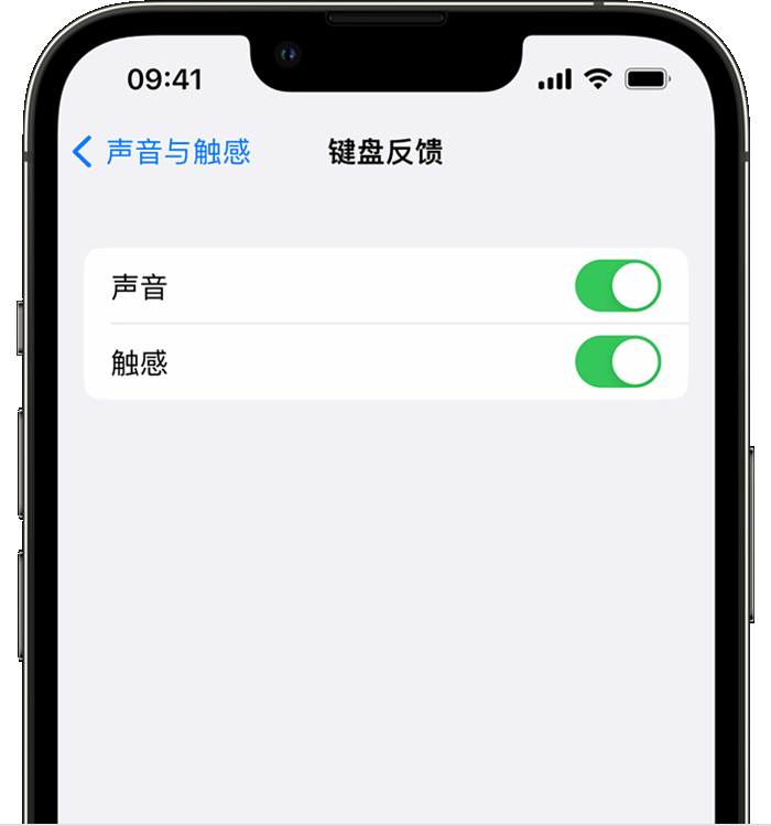 海阳苹果14维修店分享如何在 iPhone 14 机型中使用触感键盘 