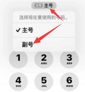 海阳苹果14维修店分享iPhone 14 Pro Max使用副卡打电话的方法 