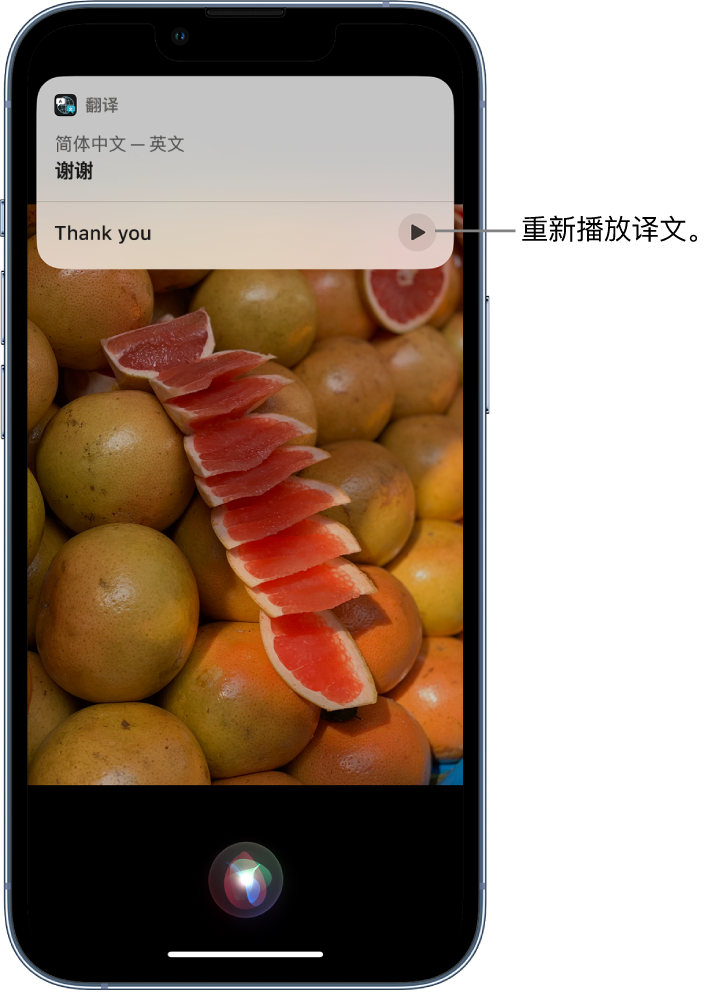 海阳苹果14维修分享 iPhone 14 机型中使用 Siri：了解 Siri 能帮你做什么 