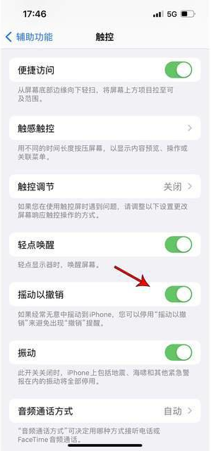 海阳苹果手机维修分享iPhone手机如何设置摇一摇删除文字 